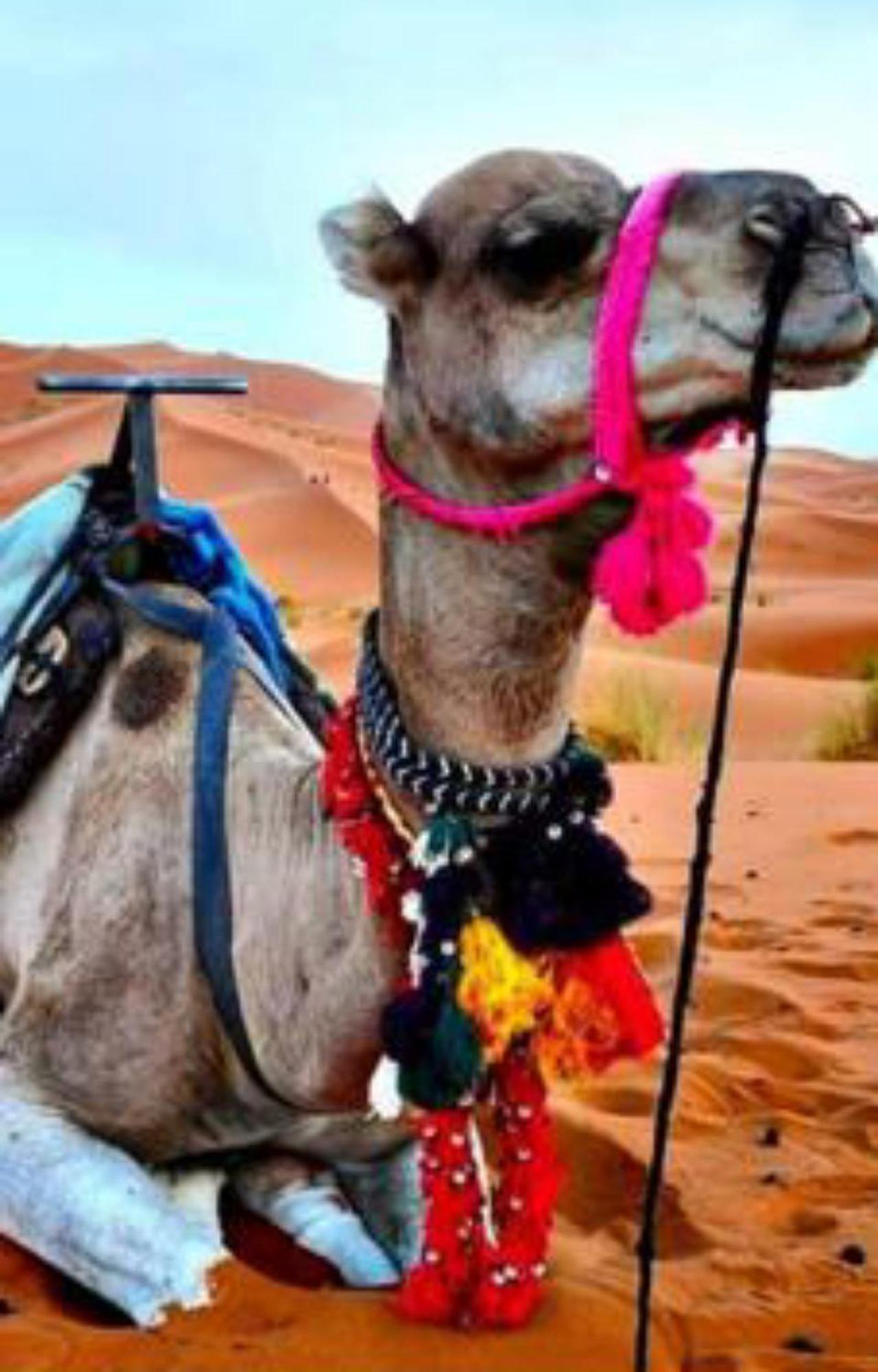 Luxury Desert Camp Merzuga Kültér fotó